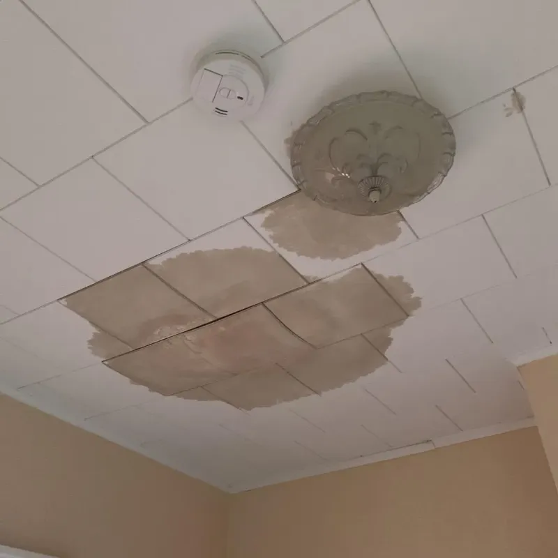 Ceiling Water Damage Repair in Alcorn County, MS