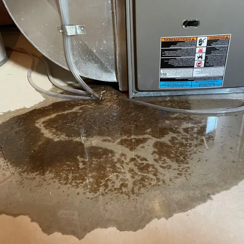 Pipe Burst and Leak Restoration in Alcorn County, MS
