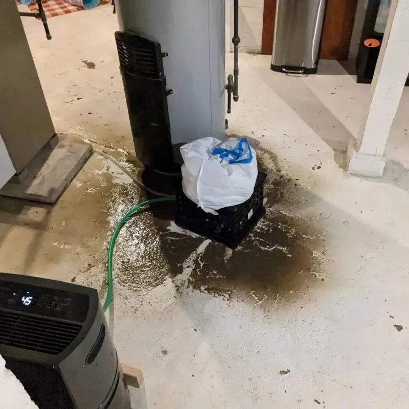 Sewage Backup Cleanup Service in Alcorn County, MS